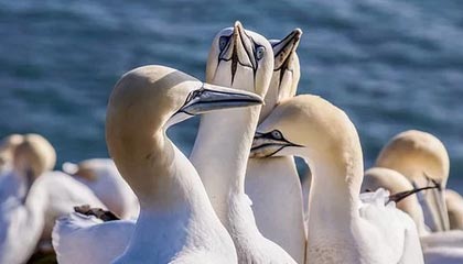 小红书网页版手机下载页面