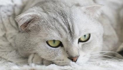 心碎!热搜背后让人破防,内情第一次被公开,热搜是啥玩意