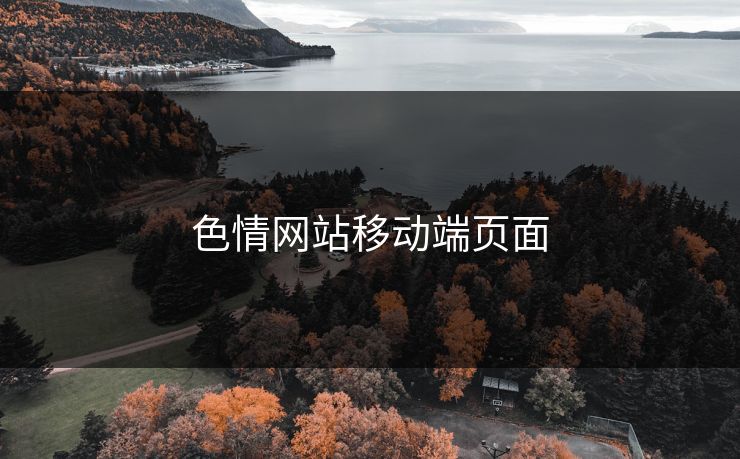 色情网站移动端页面
