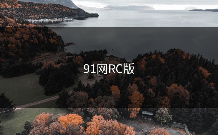 91网RC版