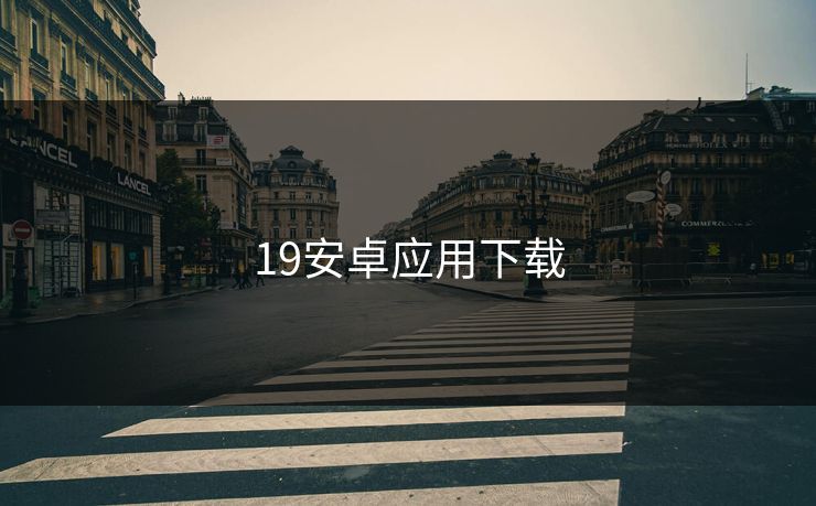 19安卓应用下载 19安卓应用下载