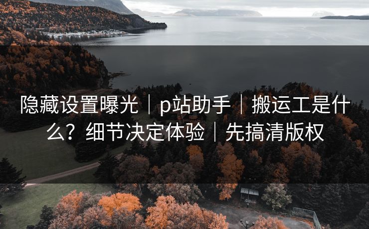 隐藏设置曝光｜p站助手｜搬运工是什么？细节决定体验｜先搞清版权