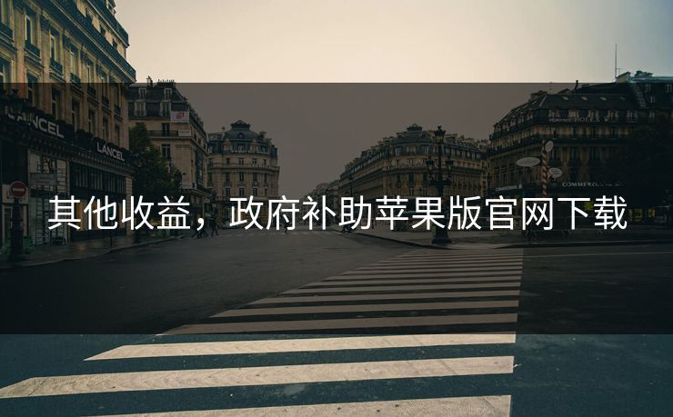 其他收益，政府补助苹果版官网下载